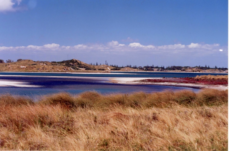 Bilder/Ferien/AUS00/australien 009_filtered.jpg